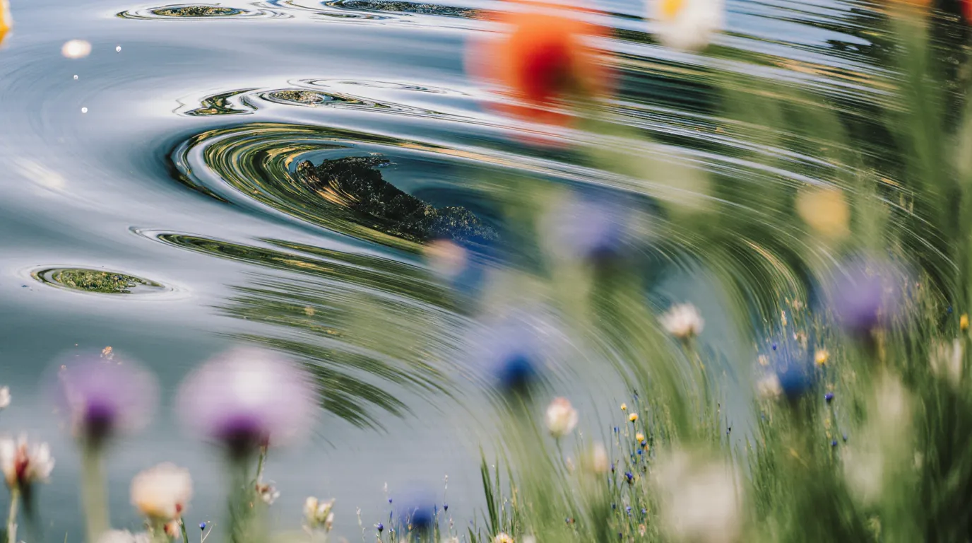 Visual illustration for Cultural fluency section within the Narrative Agility trend