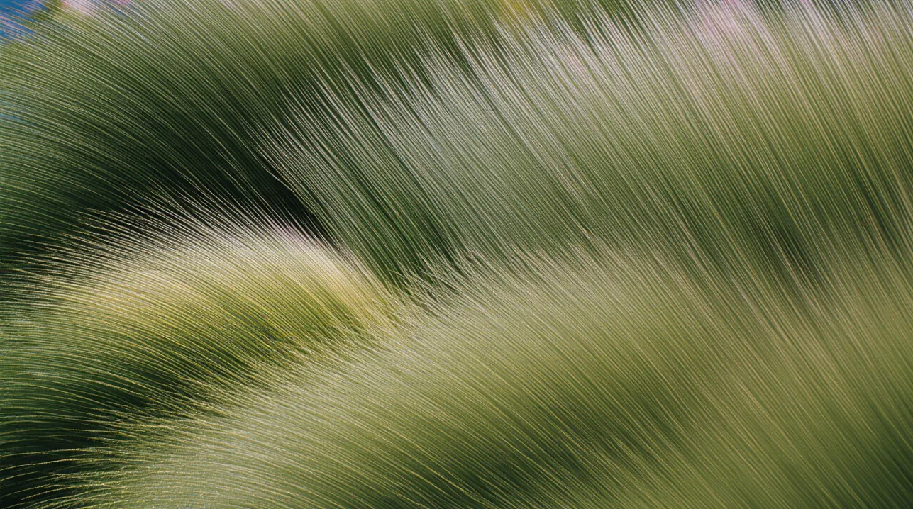 Trend 3: Elastic authority - Trade rigid tenure for elastic missions