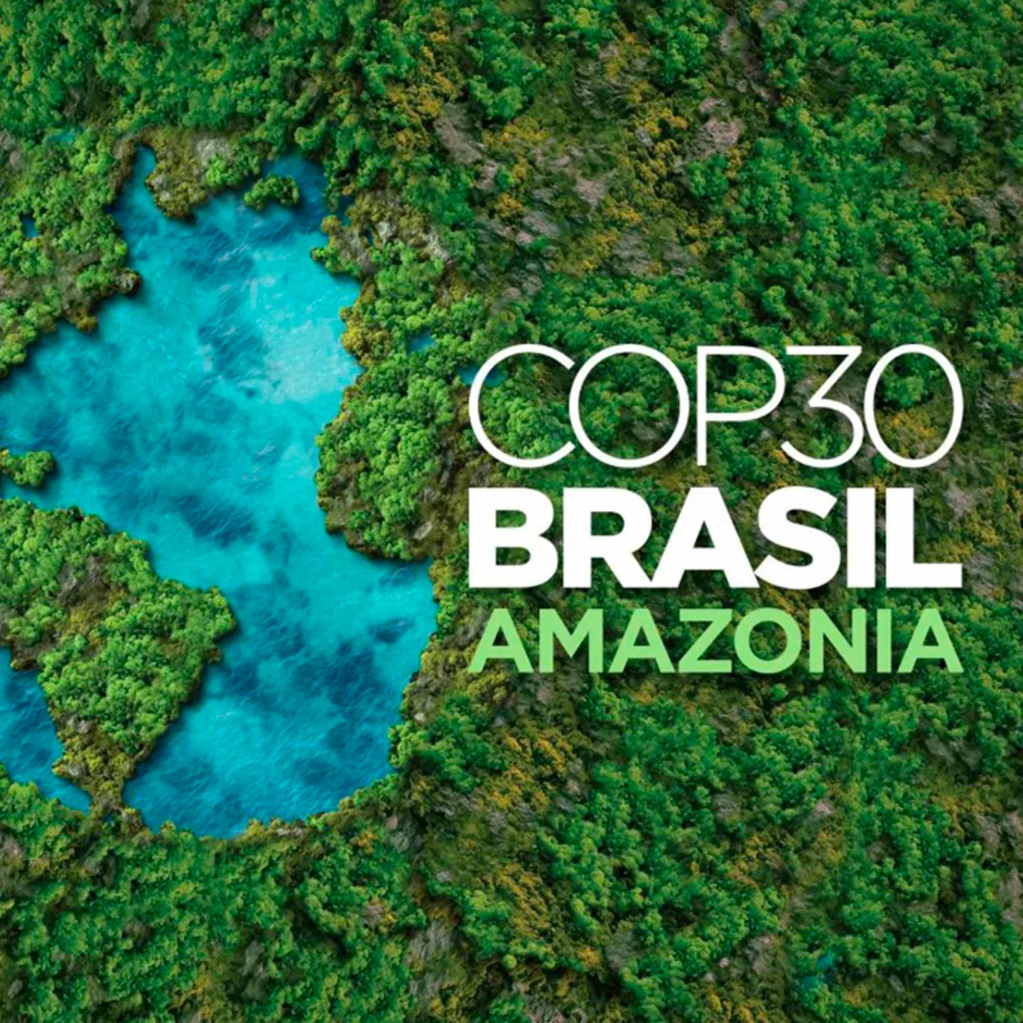 COP30 in Brazil in 2025, and the rise of the Amazon Bioeconomy