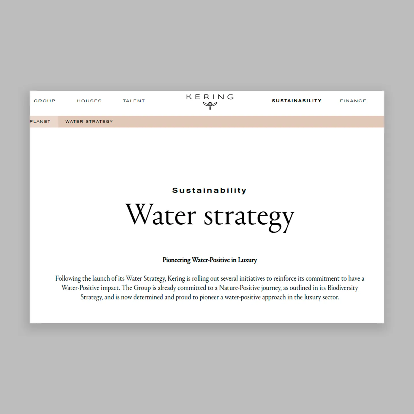 Kering Water Positive Strategy